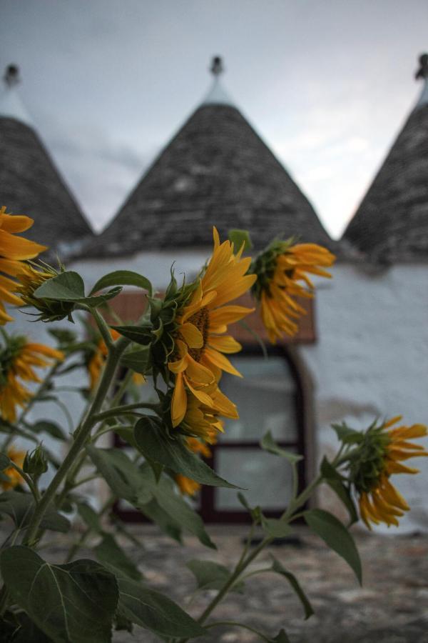 Masseria Ferri オストゥーニ エクステリア 写真