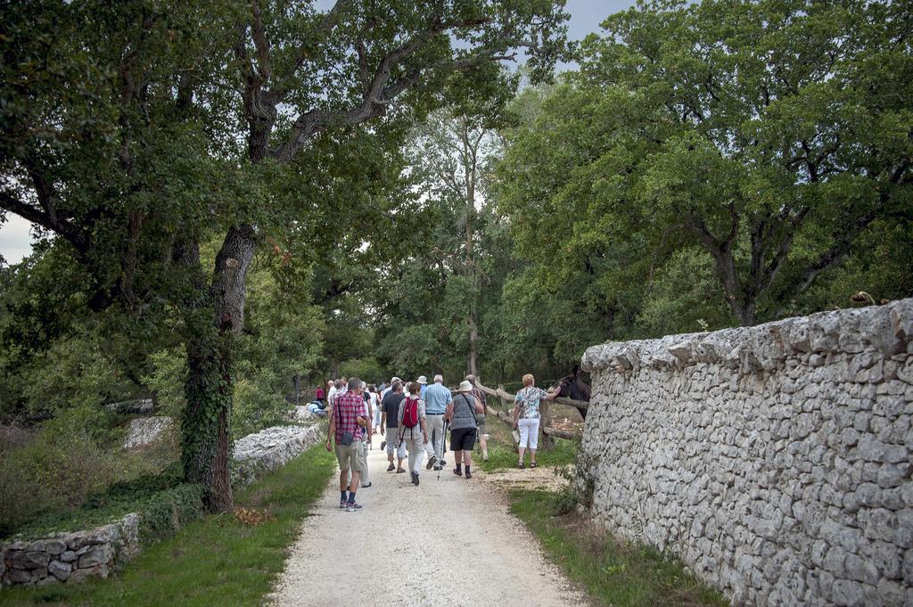 Masseria Ferri オストゥーニ エクステリア 写真